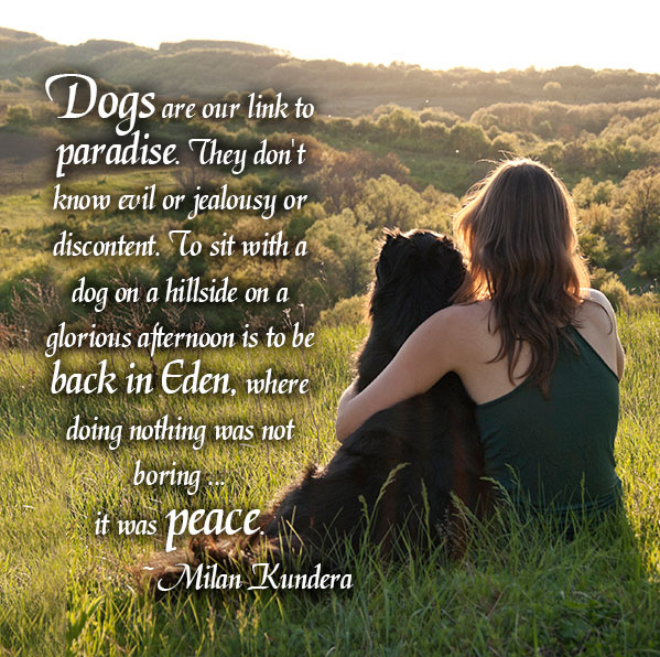 Inspirational - Dogs are our link to Paradise
